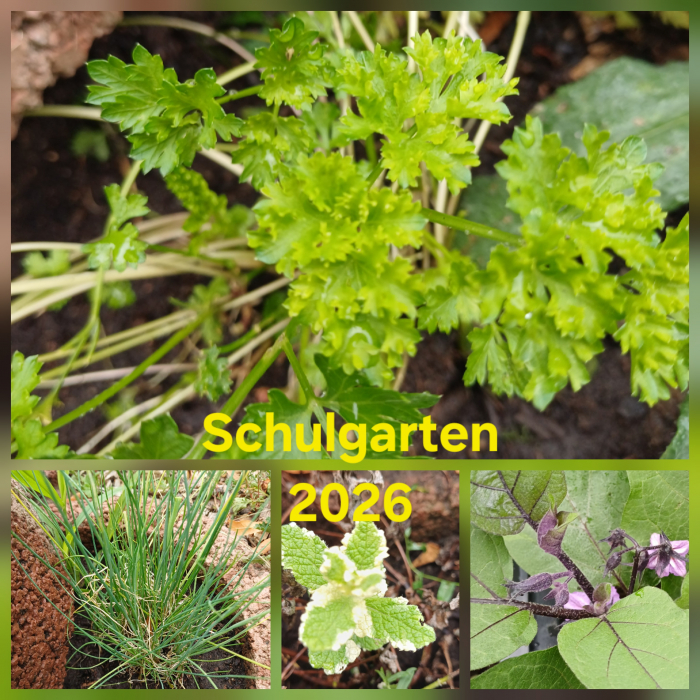 schulgarten2026.jpg
