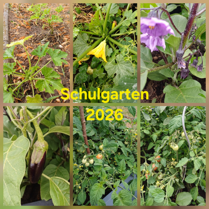 schulgarten2026_1.jpg